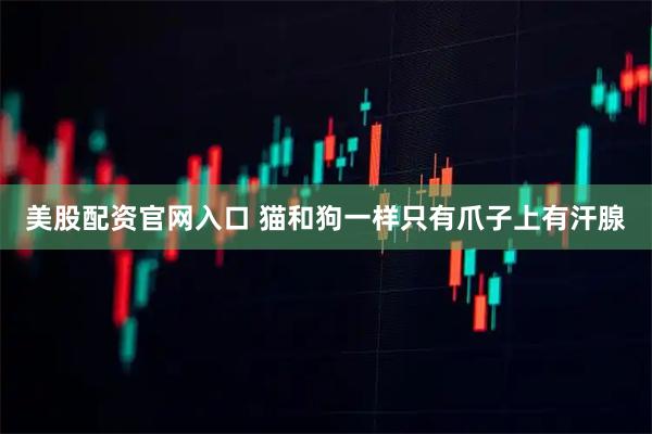 美股配资官网入口 猫和狗一样只有爪子上有汗腺