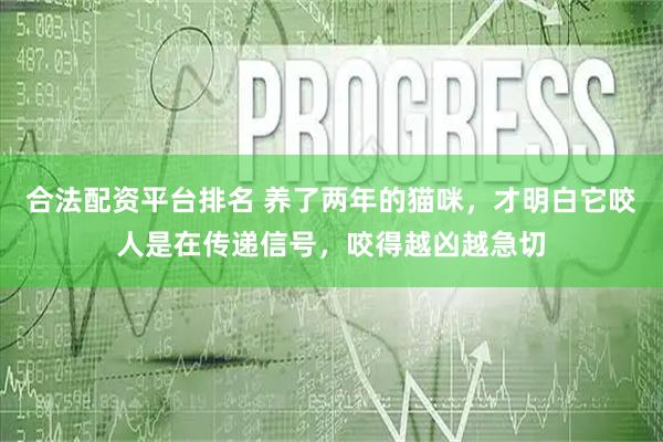 合法配资平台排名 养了两年的猫咪，才明白它咬人是在传递信号，咬得越凶越急切
