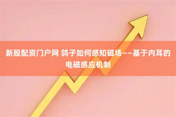 新股配资门户网 鸽子如何感知磁场——基于内耳的电磁感应机制